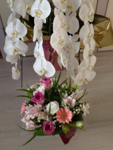 一宮市木曽川町の鍼灸院 待合室の胡蝶蘭とかご花 妊活・不妊ケア